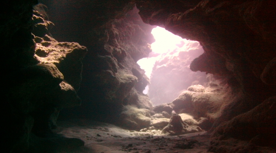 Eden Rock Shore Dive Dive Site Scuba Diving Grand Cayman, Cayman Islands