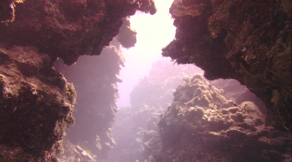 Big Tunnels Dive Site Scuba Diving Grand Cayman, Cayman Islands