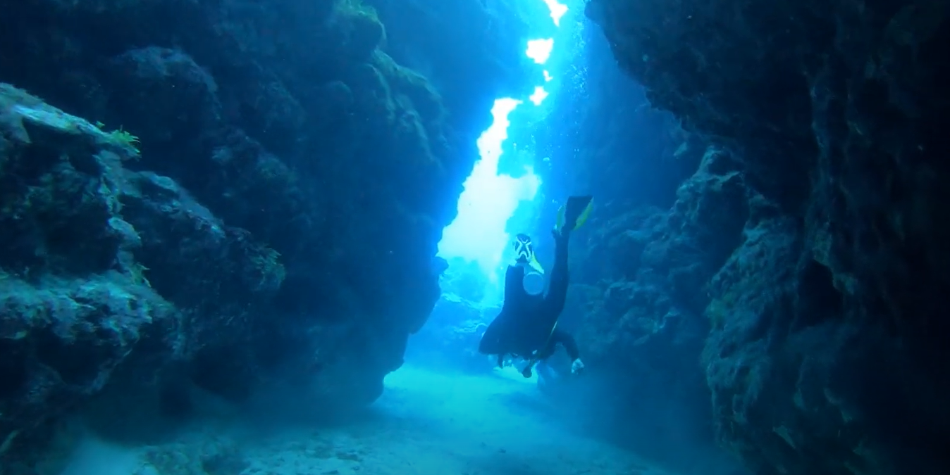 Trinity Caves Dive Site Scuba Diving Grand Cayman, Cayman Islands