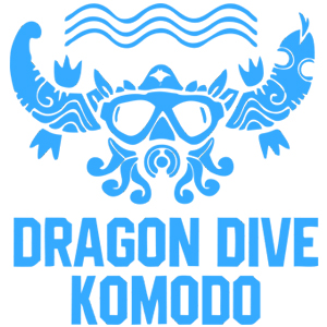 Dragon Dive Komodo Scuba Diving Komodo, Indonesia