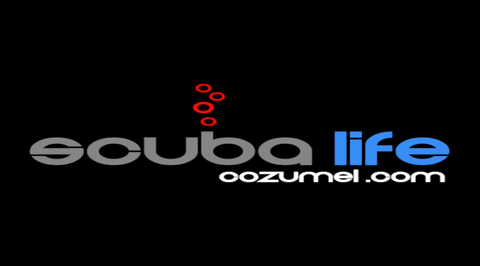 Scuba Life Cozumel Scuba Diving Cozumel, Mexico
