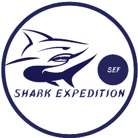 Shark Expedition Fuvahmulah Scuba Diving Fuvahmulah, Maldives
