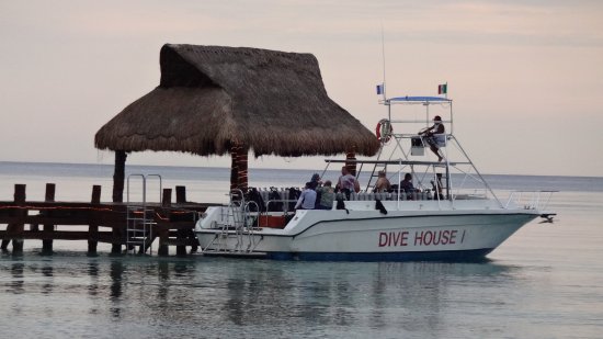 DIVE HOUSE Scuba Diving Cozumel, Mexico