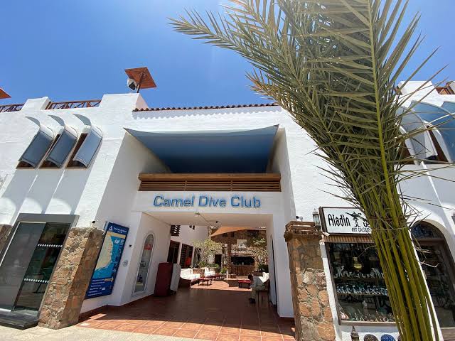 Camel Dive Club  & Hotel Scuba Diving Sharm El Sheikh, Egypt