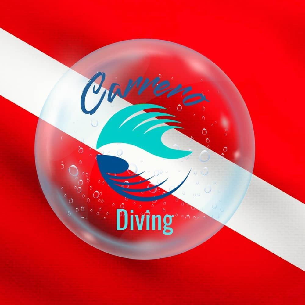 Carrero Diving Scuba Diving Curacao, Dutch Caribbean