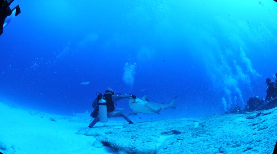 Deep Life Divers Scuba Diving Cancun, Mexico