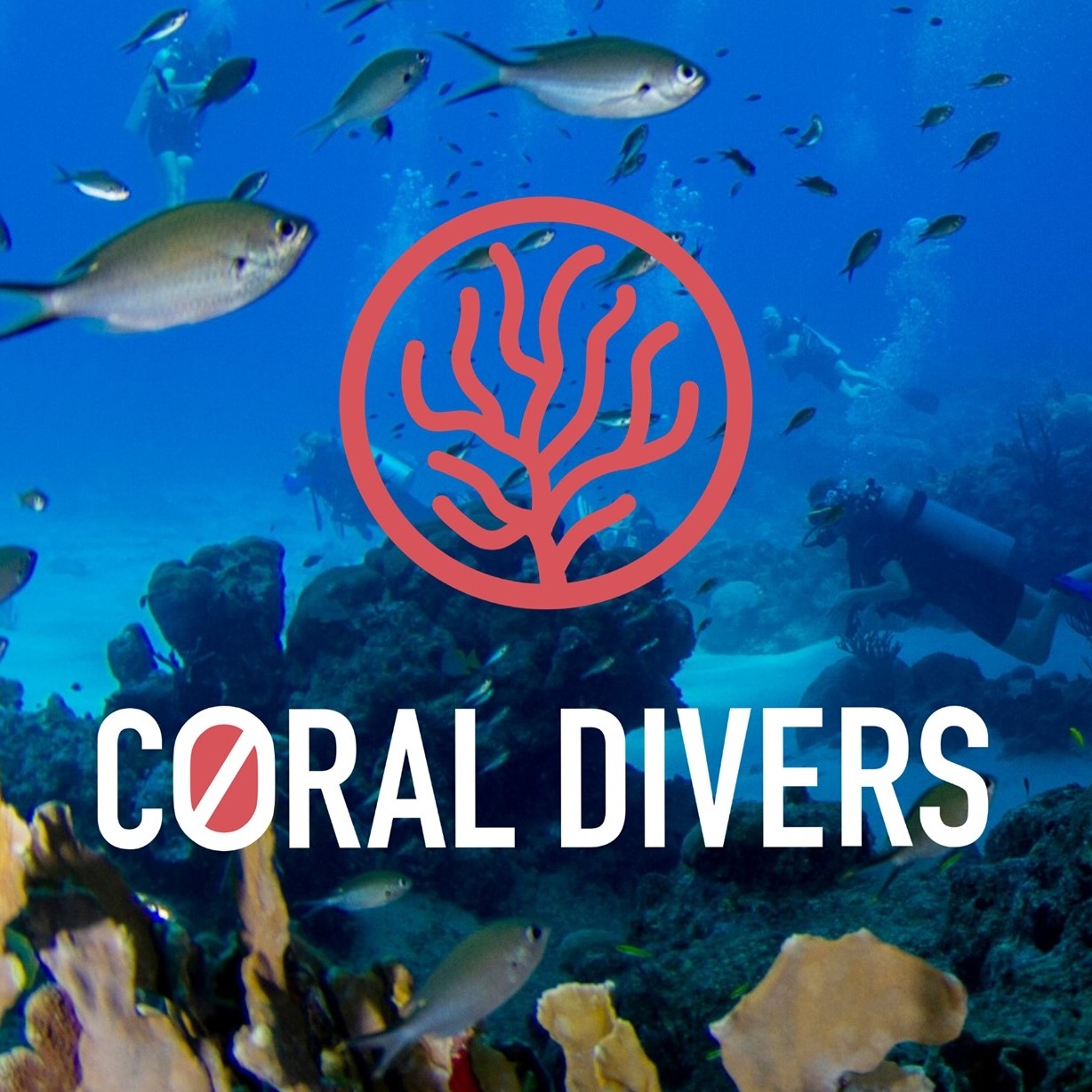 Coral Divers Scuba Diving Curacao, Dutch Caribbean