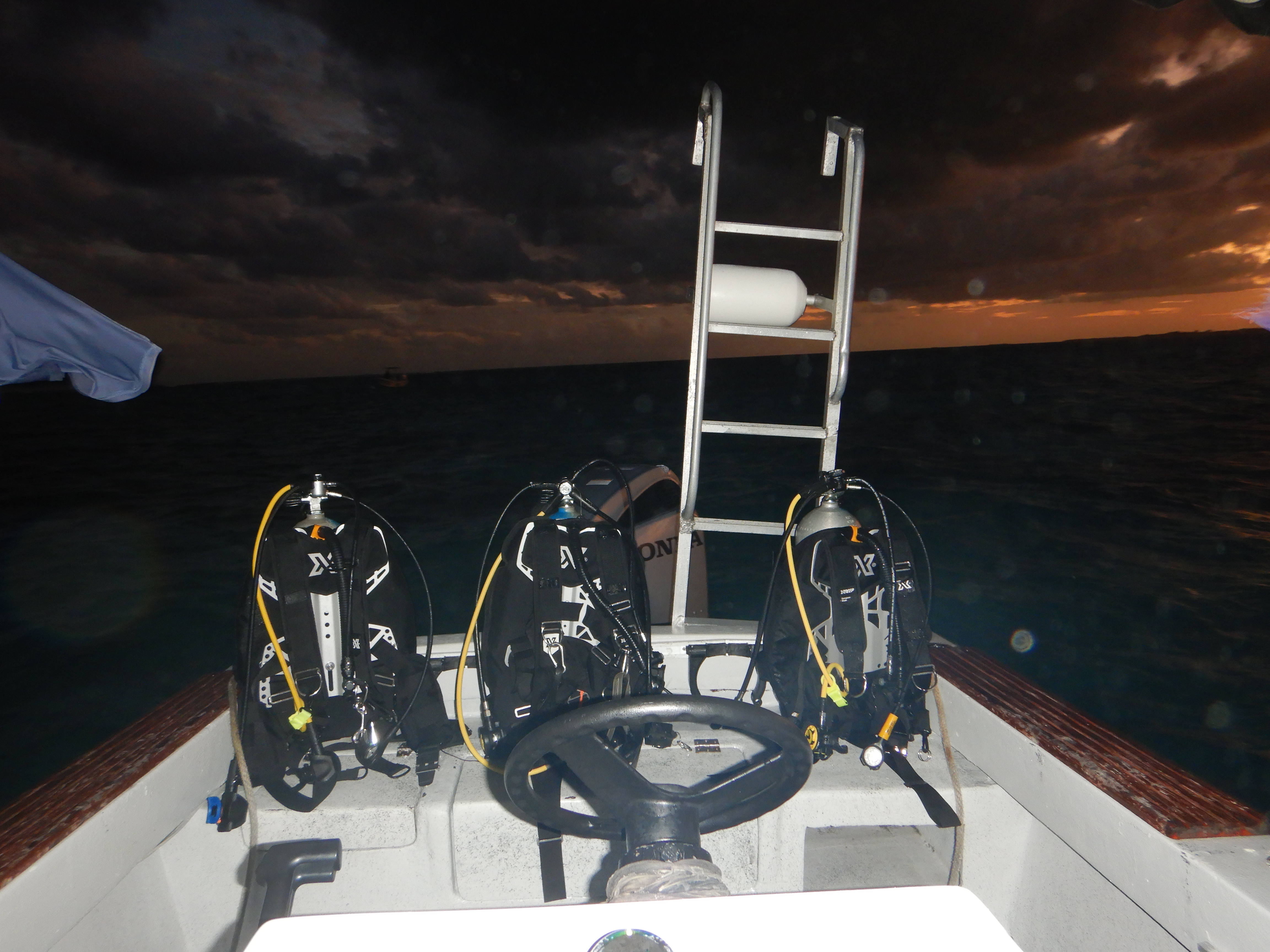 French Angel Expedition Scuba Diving Caye Caulker, Belize