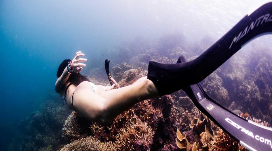 FREEDIVE+ Alona Shop Scuba Diving Panglao Island, Philippines