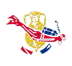 Dressel Divers Playa Del Carmen Scuba Diving Playa del Carmen, Mexico