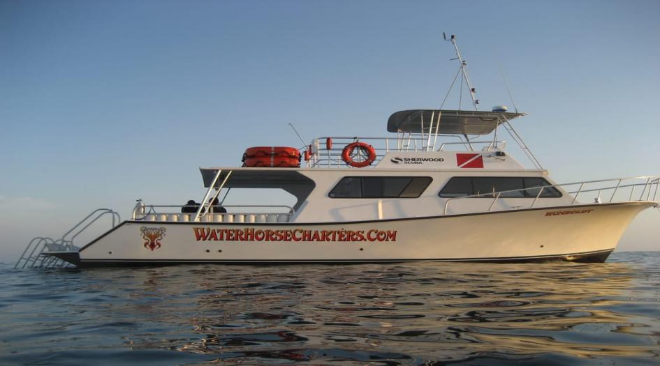 Waterhorse Charters Scuba Diving San Diego, United States