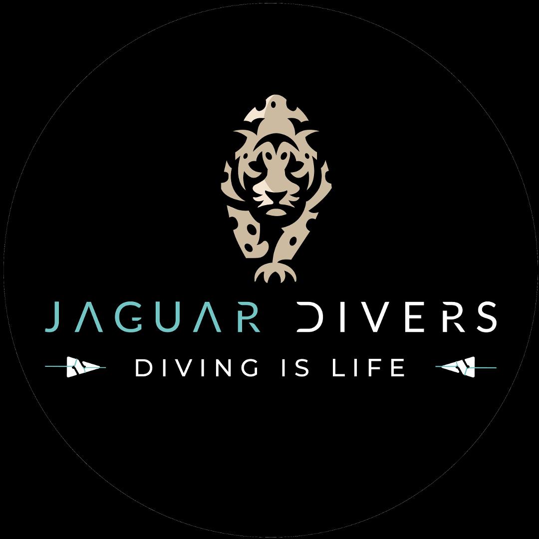 Jaguar Divers Scuba Diving Playa del Carmen, Mexico