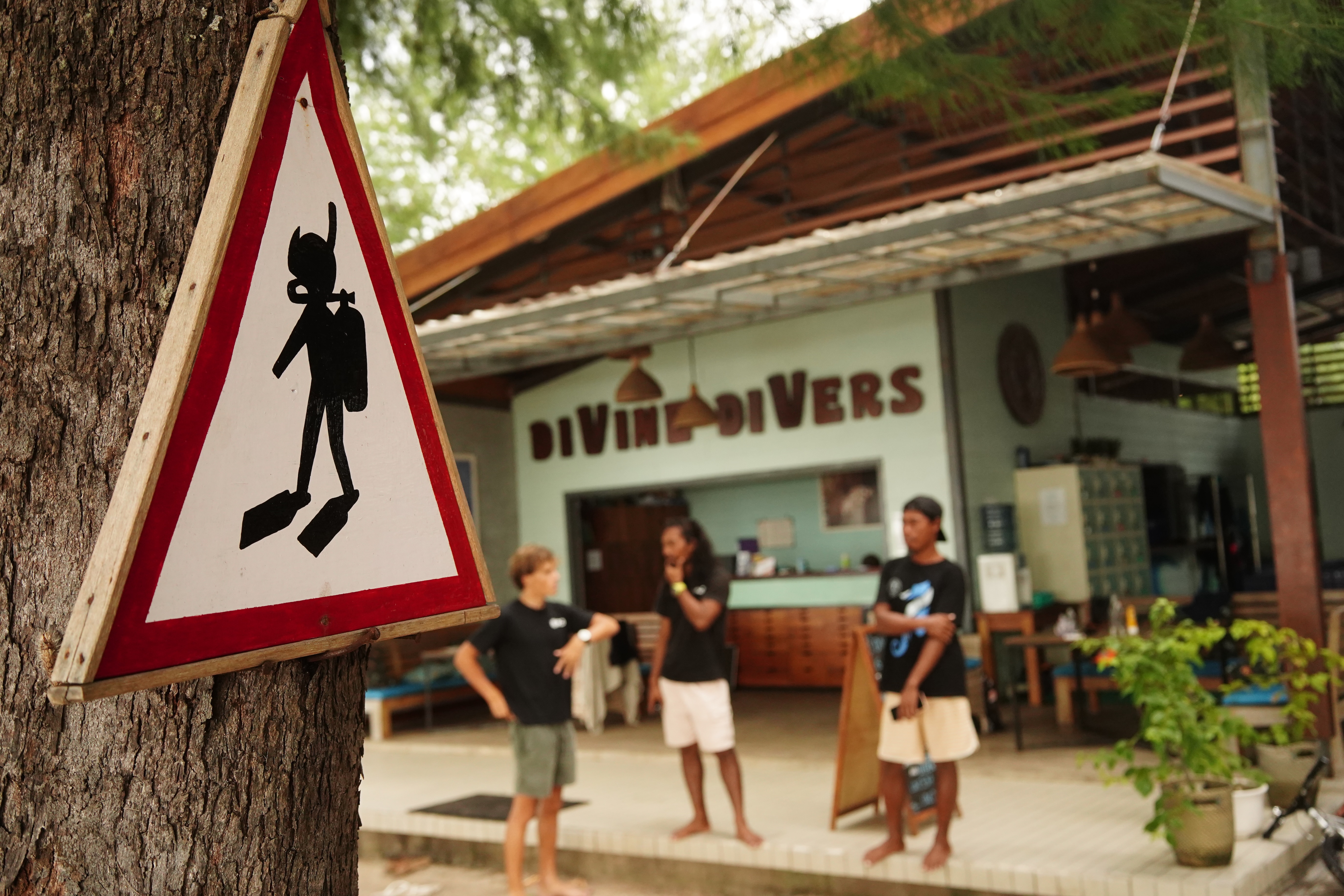 Divine Divers Gili Meno Scuba Diving Gili Meno, Indonesia