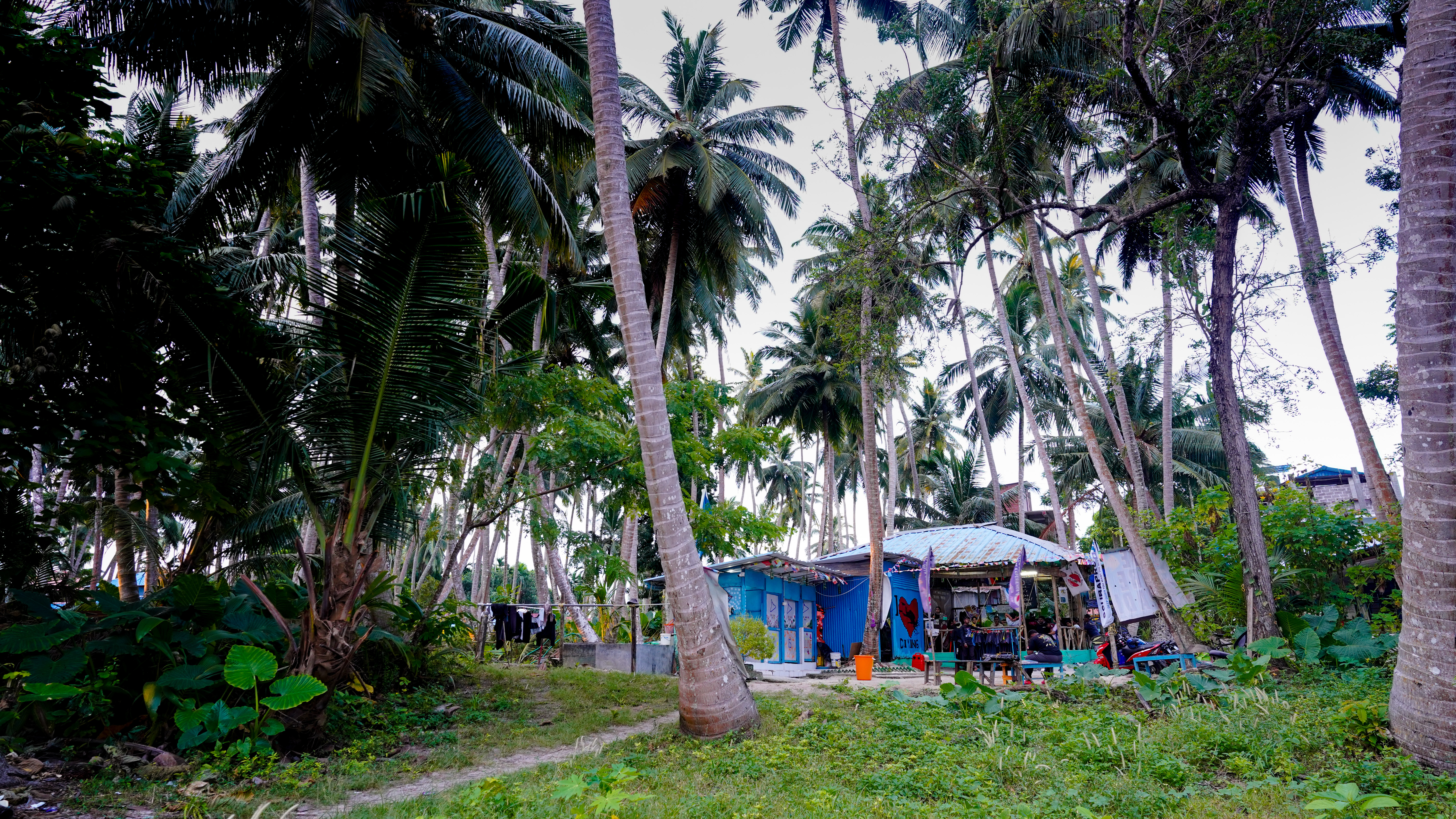 The Dive master havelock Scuba Diving Havelock Island, India
