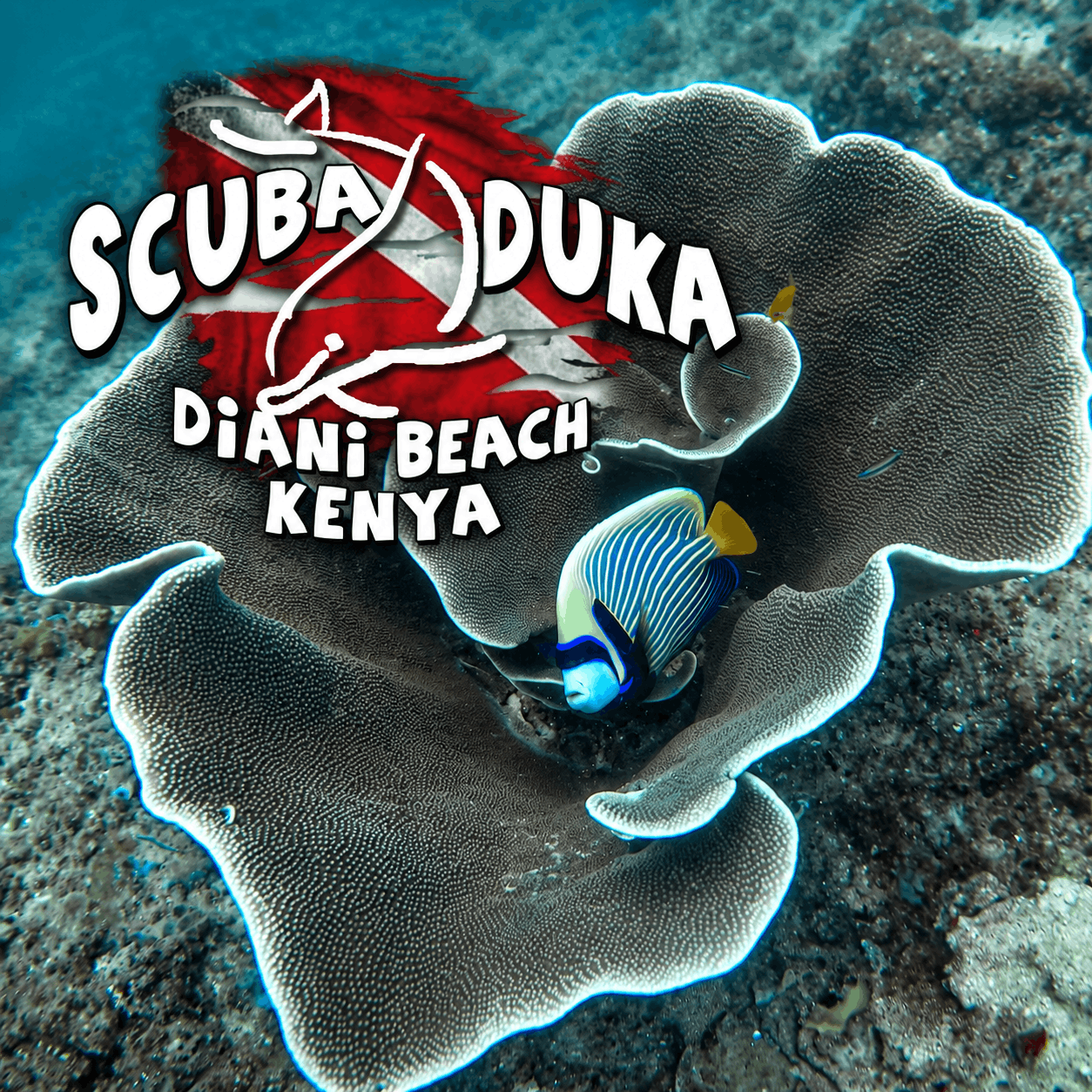 The Scuba Duka Diving Centre Scuba Diving Diani Beach, Kenya
