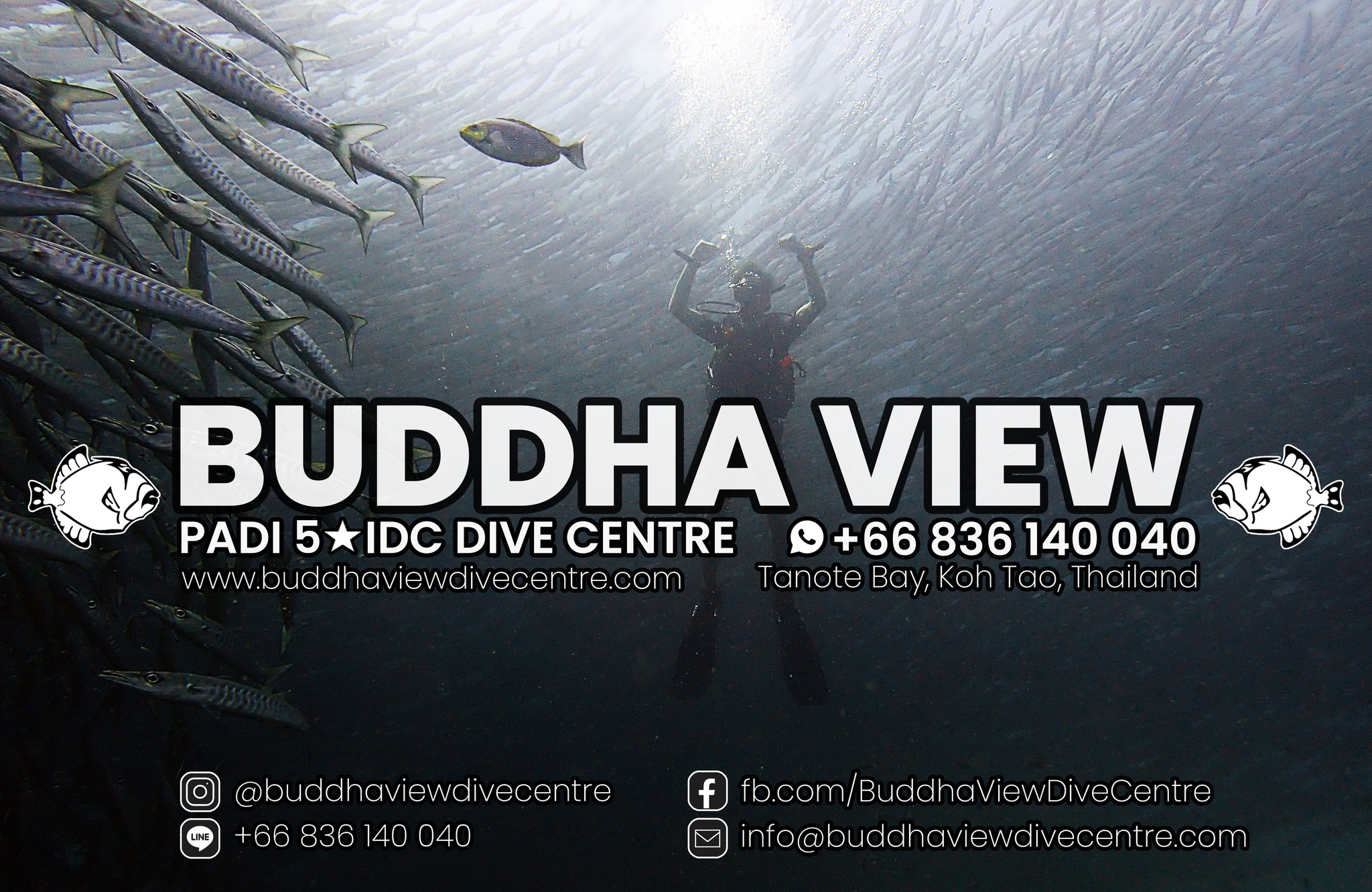 Buddha View Scuba Diving Koh Tao, Thailand