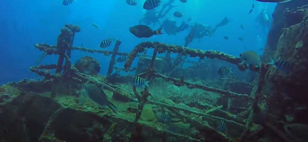 Jane Sea Wreck Dive Site Scuba Diving Aruba, Dutch Caribbean