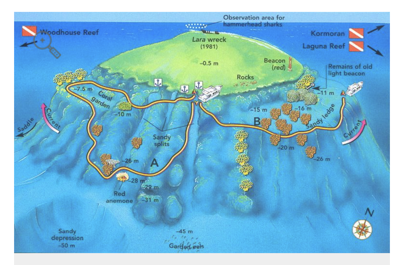 Jackson Reef Dive Site Scuba Diving Sharm El Sheikh, Egypt