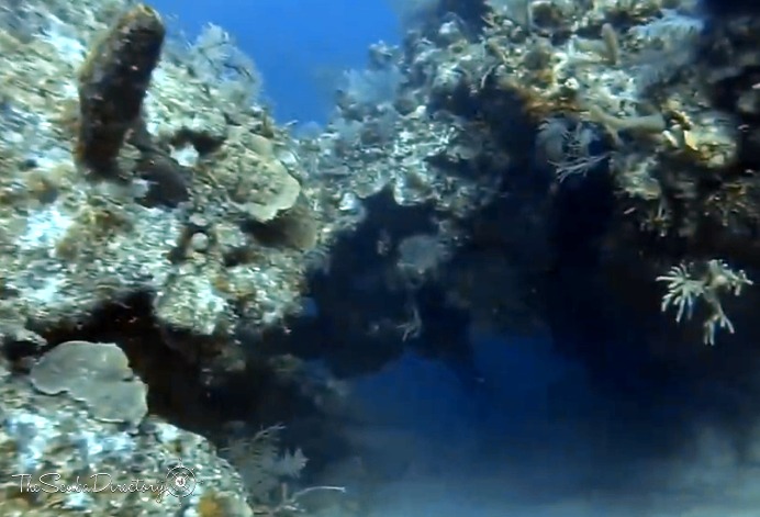 McDonald's Dive Site Scuba Diving Grand Turk, Turks and Caicos Islands