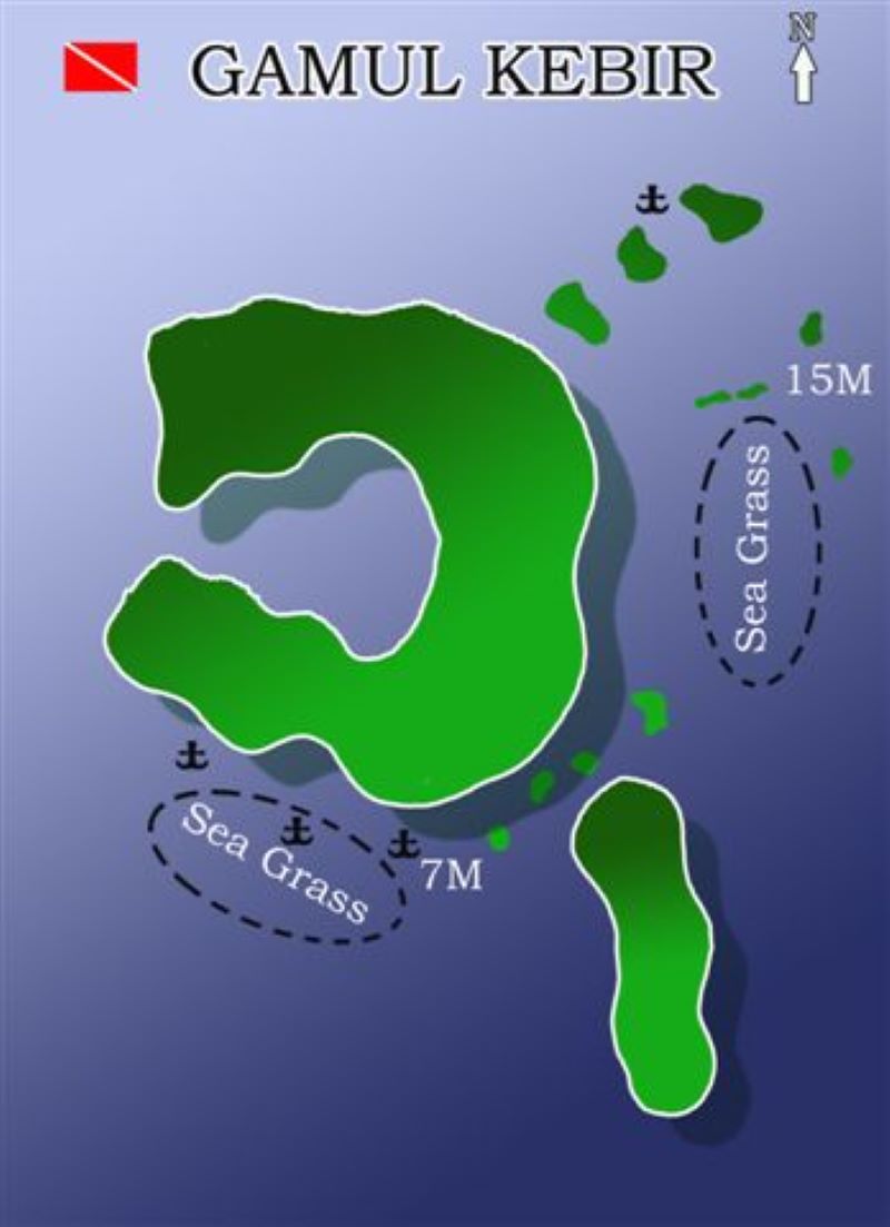 Gamul Kebir Dive Site Scuba Diving Safaga, Egypt