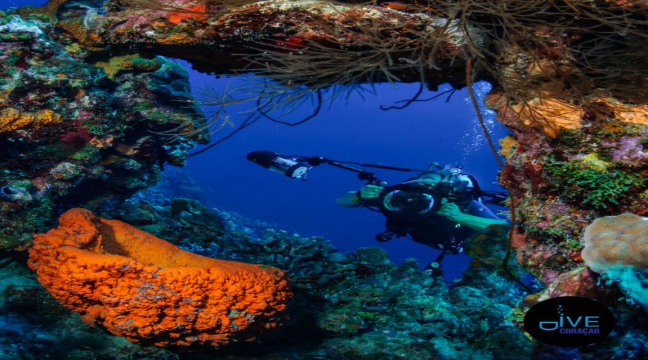 Playa Kalki Dive Site Scuba Diving Curacao, Dutch Caribbean