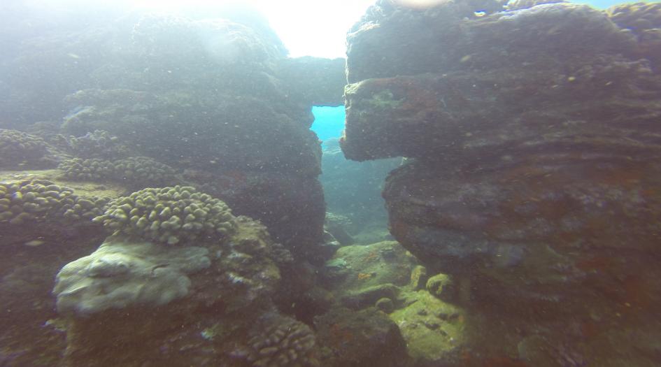 Camp 1 Dive Site Scuba Diving Kauai, United States