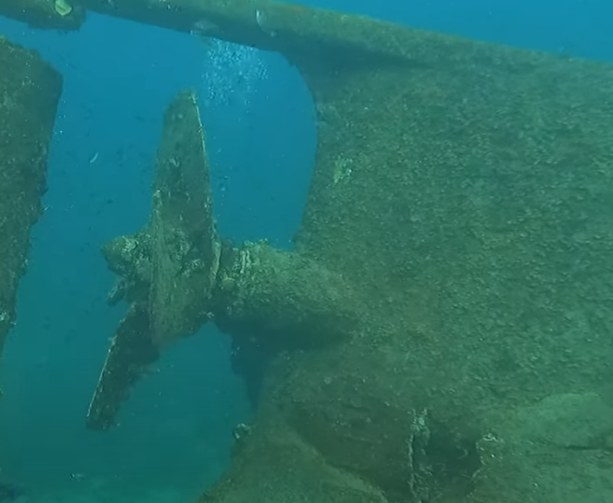 Star Gerren Dive Site Scuba Diving Aruba, Dutch Caribbean