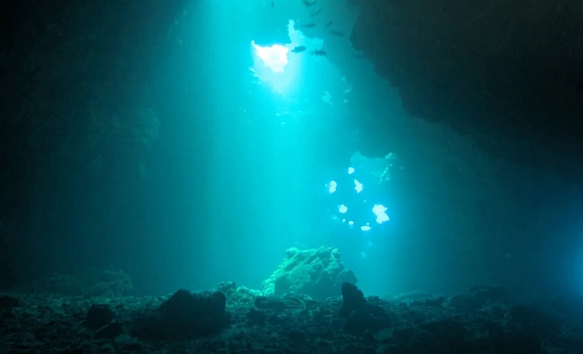 Lanai Cathedrals Dive Site Scuba Diving Lanai, United States