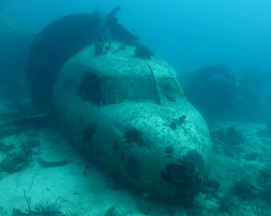 Renaissance Airplane Dive Site Scuba Diving Aruba, Dutch Caribbean