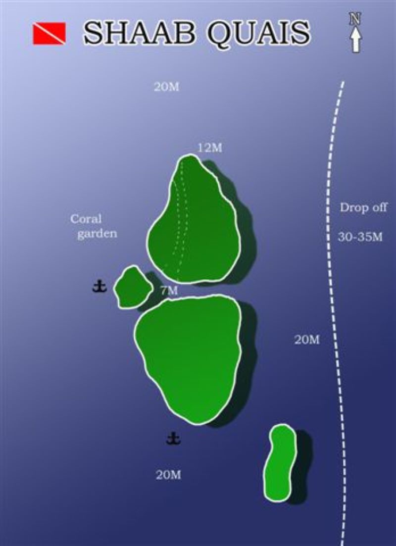 Shaab Quais Dive Site Scuba Diving Safaga, Egypt