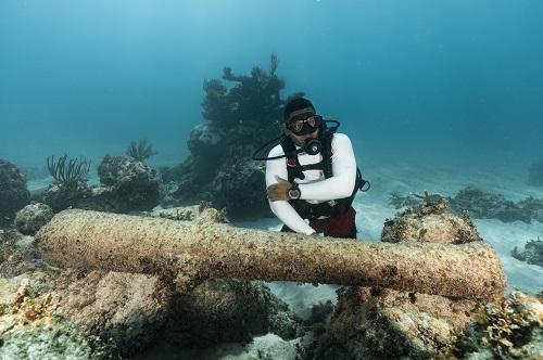 Colosseum Dive Site Scuba Diving Punta Cana, Dominican Republic