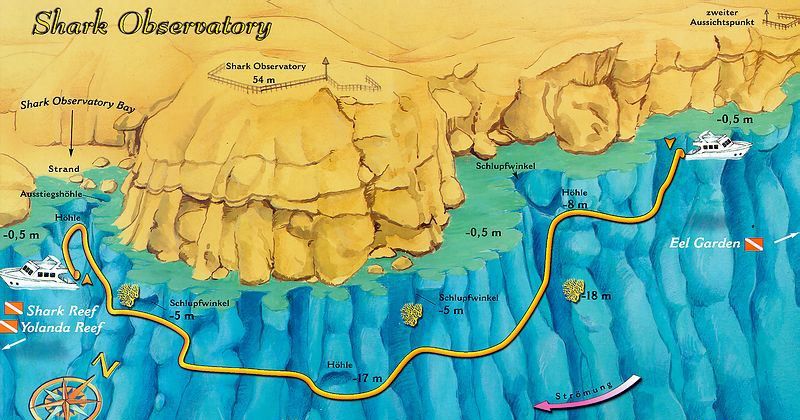 Shark Observatory Dive Site Scuba Diving Sharm El Sheikh, Egypt