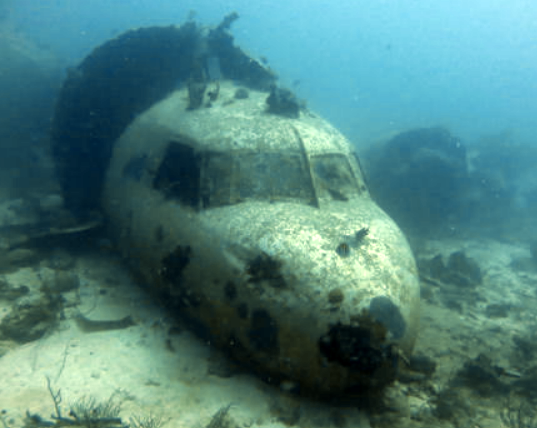 Renaissance Airplane, Aruba Dive Site