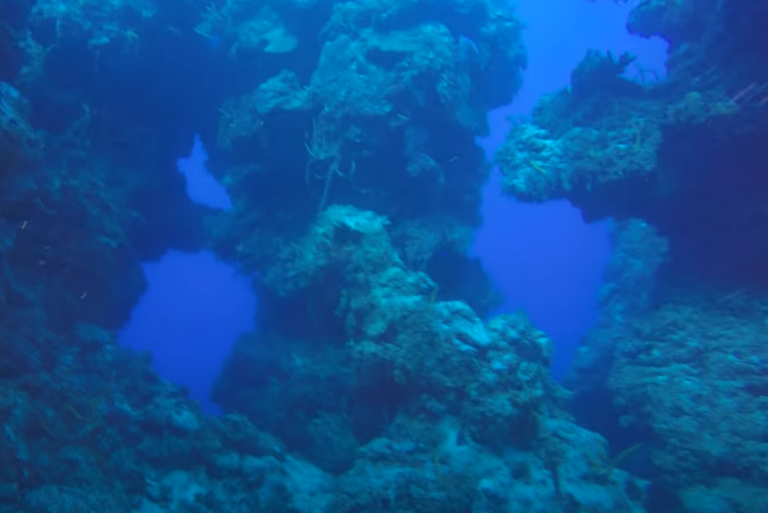 Devil's Throat Dive Site Scuba Diving Cozumel, Mexico