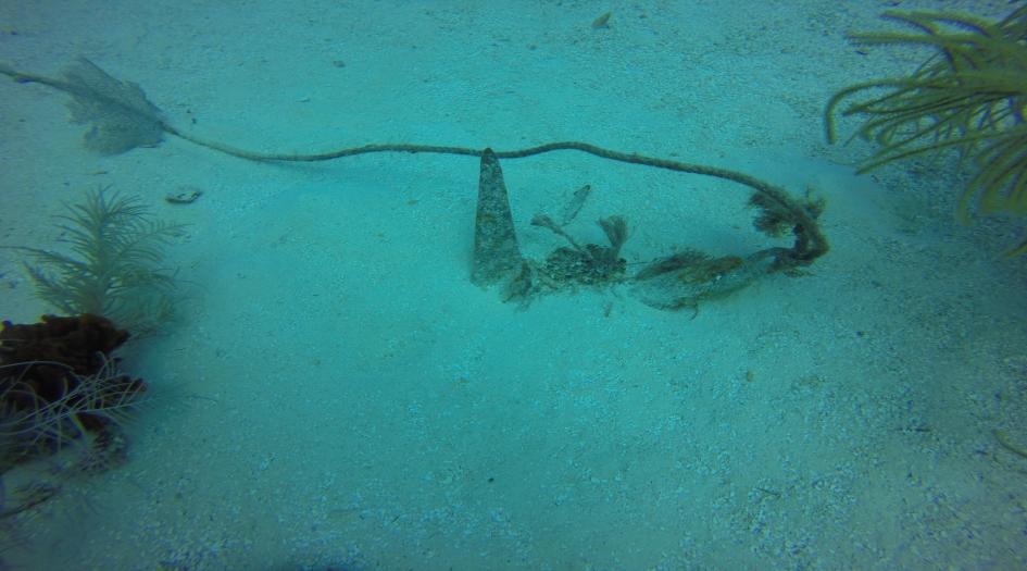 Anchor Dive Site Scuba Diving Big Corn Island, Nicaragua