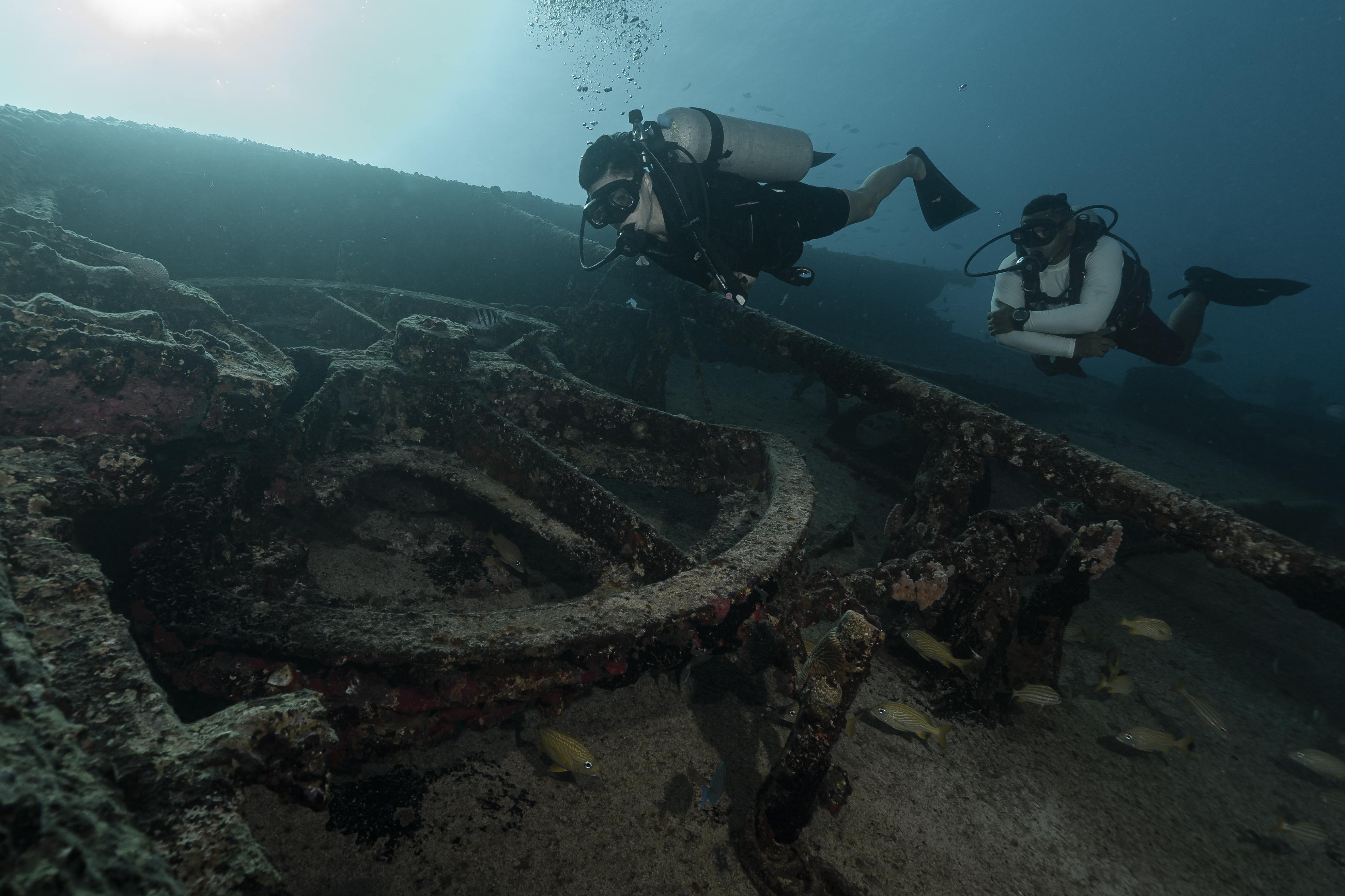 Patricia wreck Dive Site Scuba Diving Punta Cana, Dominican Republic