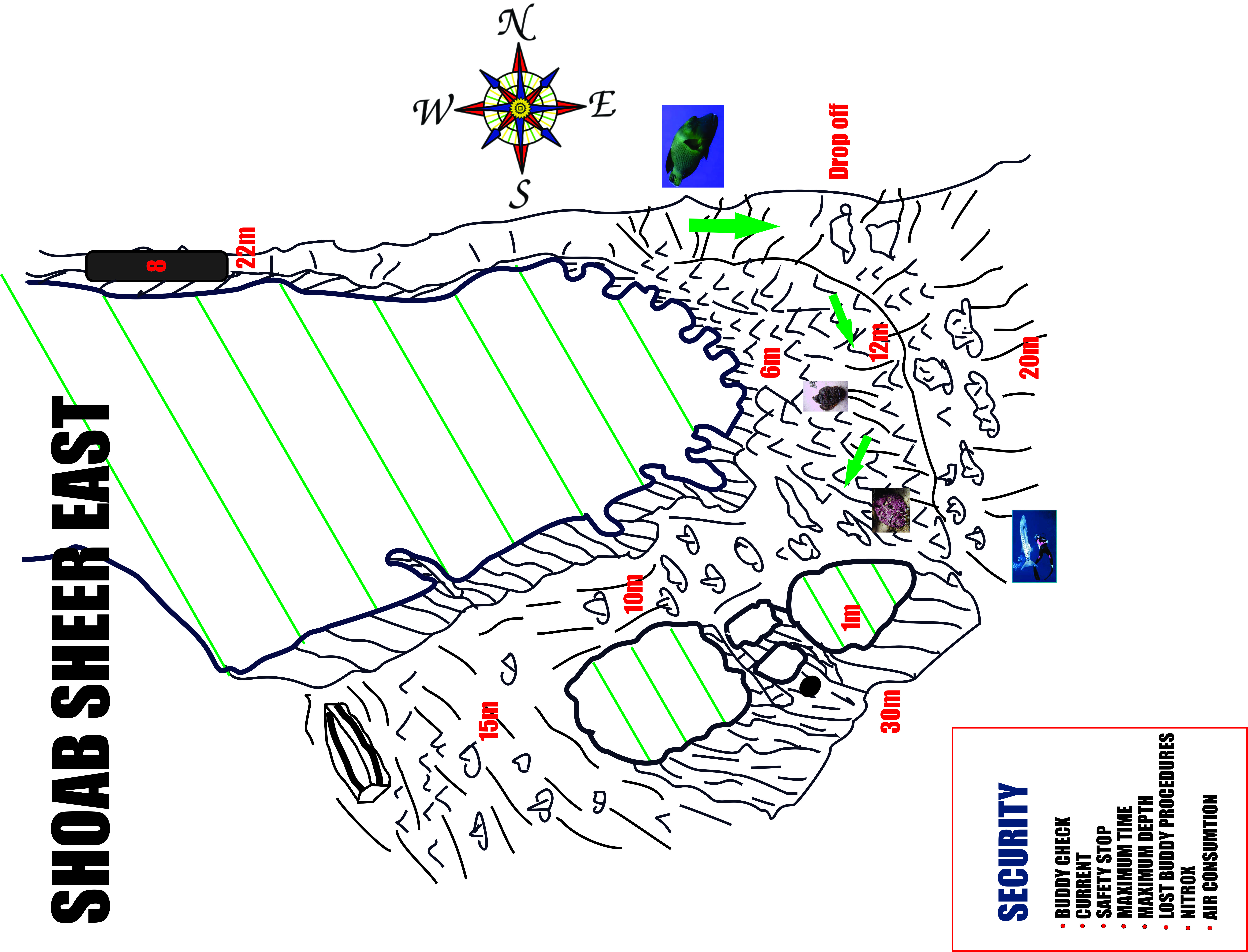 Shaab Sheer Dive Site Scuba Diving Safaga, Egypt