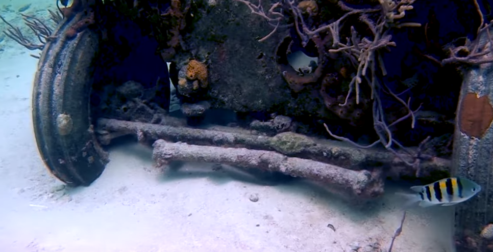 Jeep Reef Dive Site Scuba Diving Great Exuma, Bahamas
