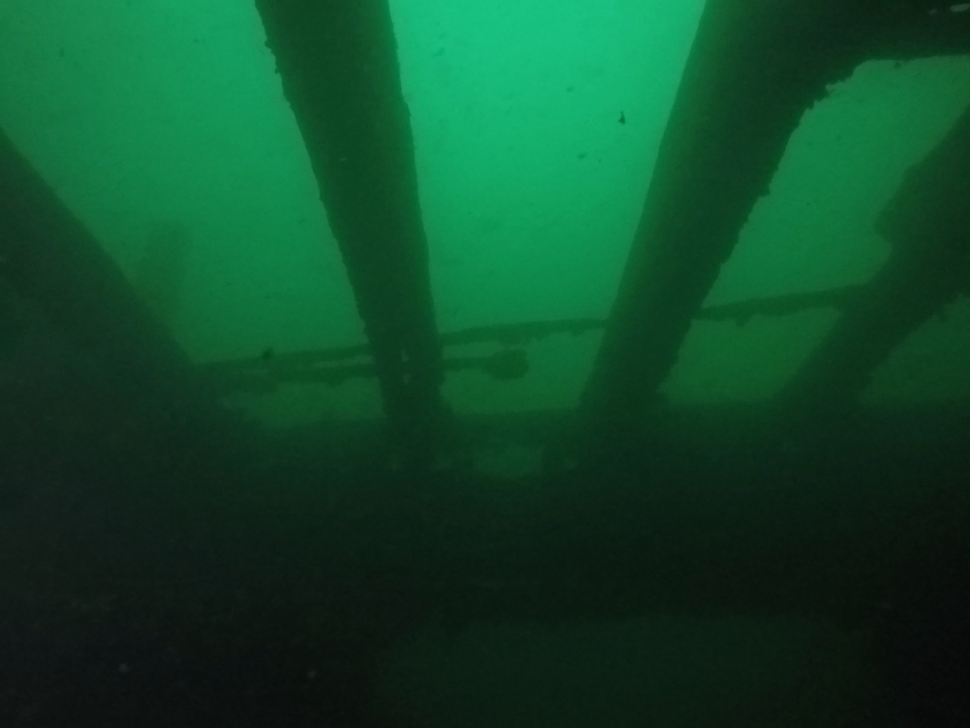 Wreck of the Robert Gaskin Dive Site Scuba Diving Ottawa, Canada