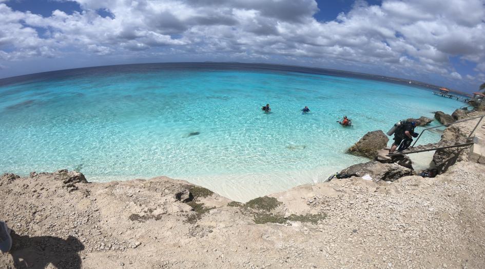 Bachelor's Beach, Bonaire Dive Site