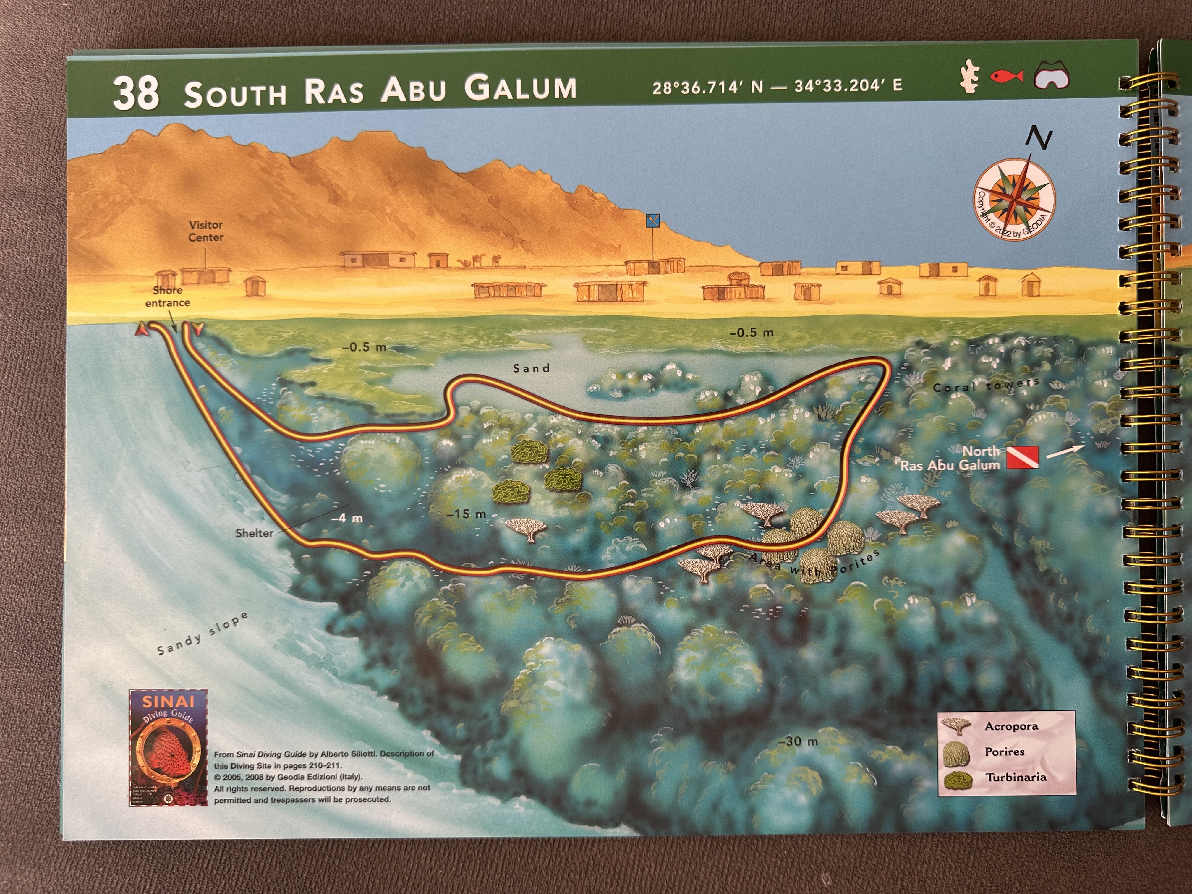 South Ras Abu Galum Dive Site Scuba Diving Dahab, Egypt