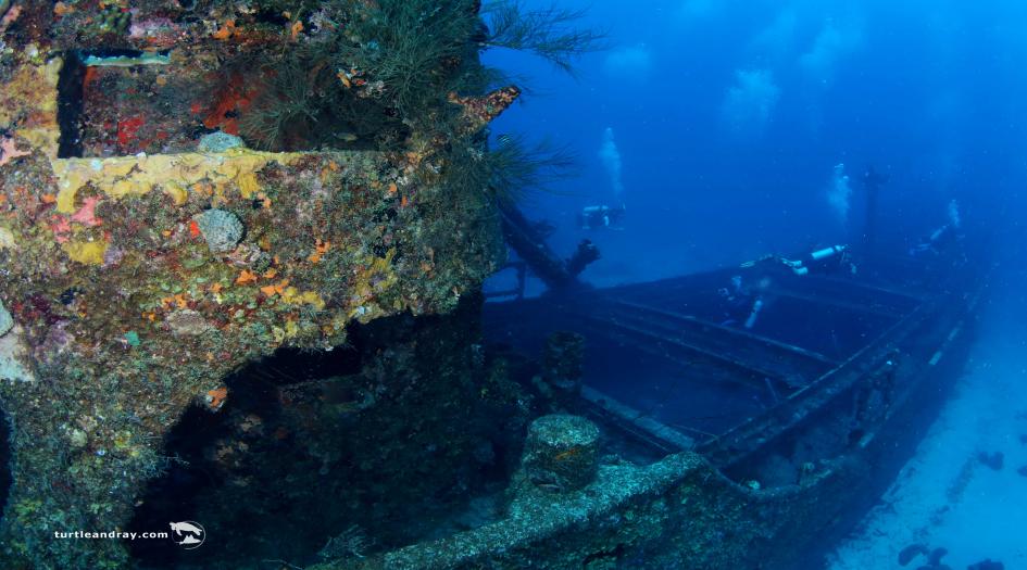 Superior Producer Dive Site Scuba Diving Curacao, Dutch Caribbean
