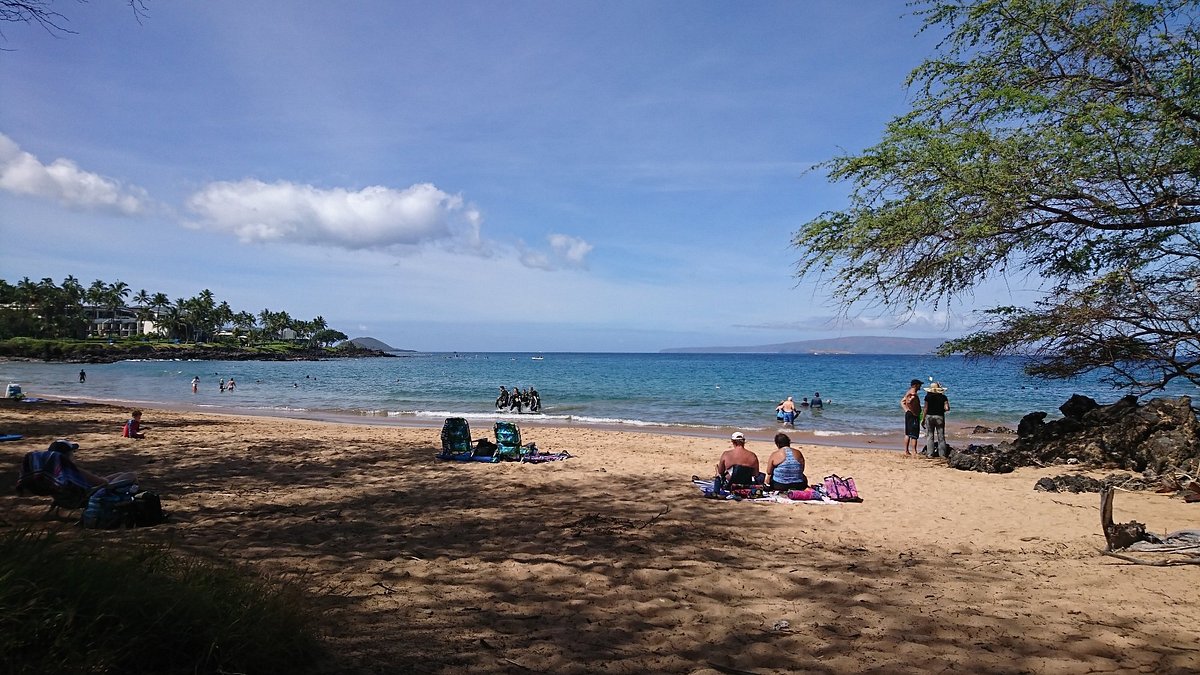 Ulua Beach Dive Site Scuba Diving Maui, United States