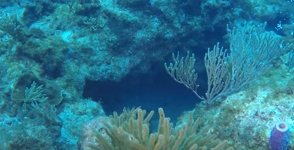 Chimney Dive Site Scuba Diving Antigua, Antigua and Barbuda