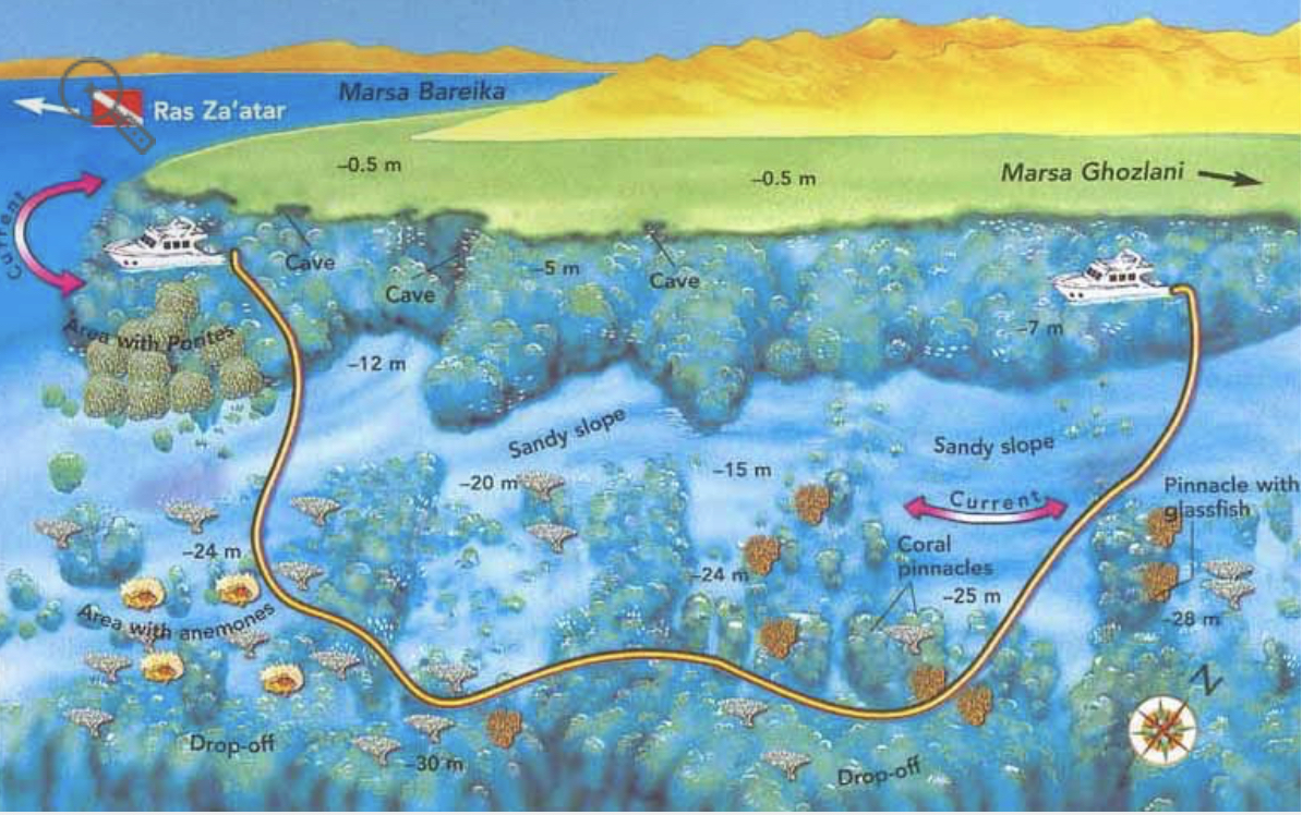 Ras Ghozlani Dive Site Scuba Diving Sharm El Sheikh, Egypt