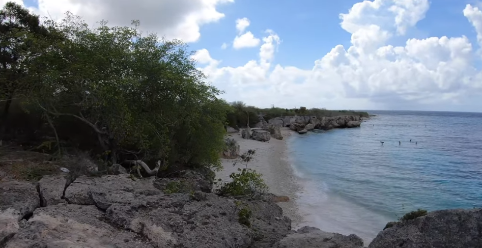 Directors bay, Curacao Dive Site