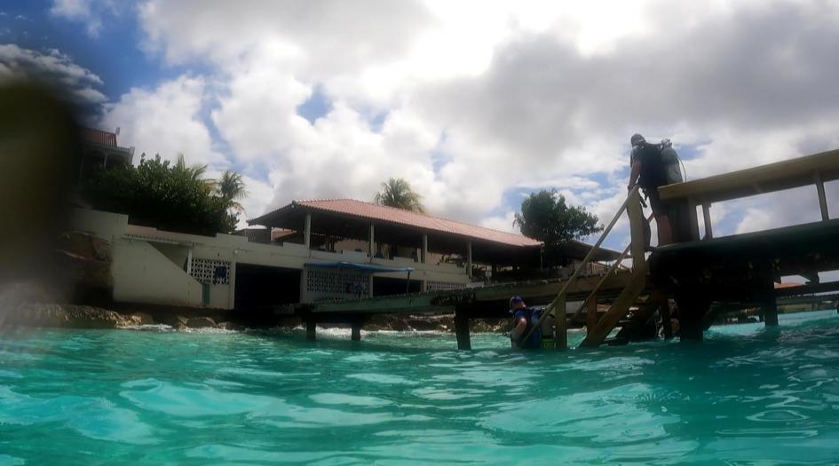 La Machaca Dive Site Scuba Diving Bonaire, Dutch Caribbean