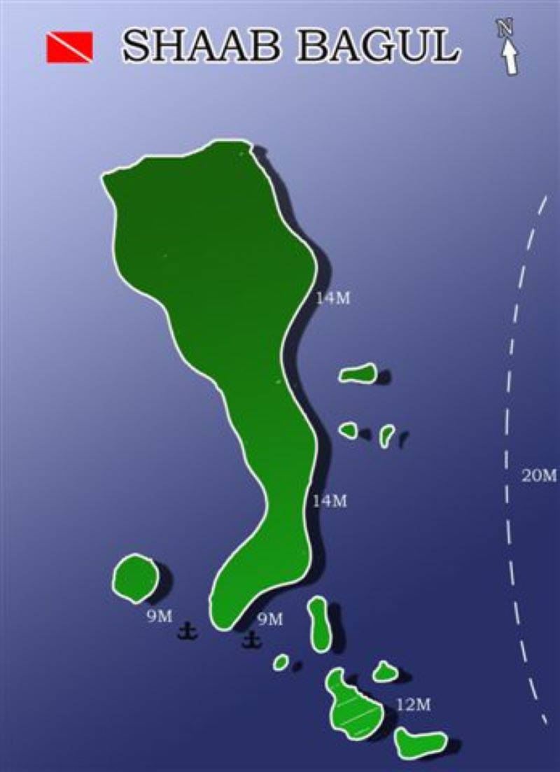 Shaab Bagul Dive Site Scuba Diving Safaga, Egypt