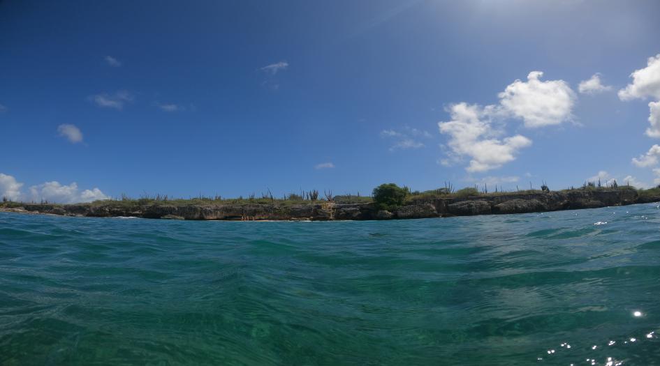 Wayaka Dive Site Scuba Diving Bonaire, Dutch Caribbean