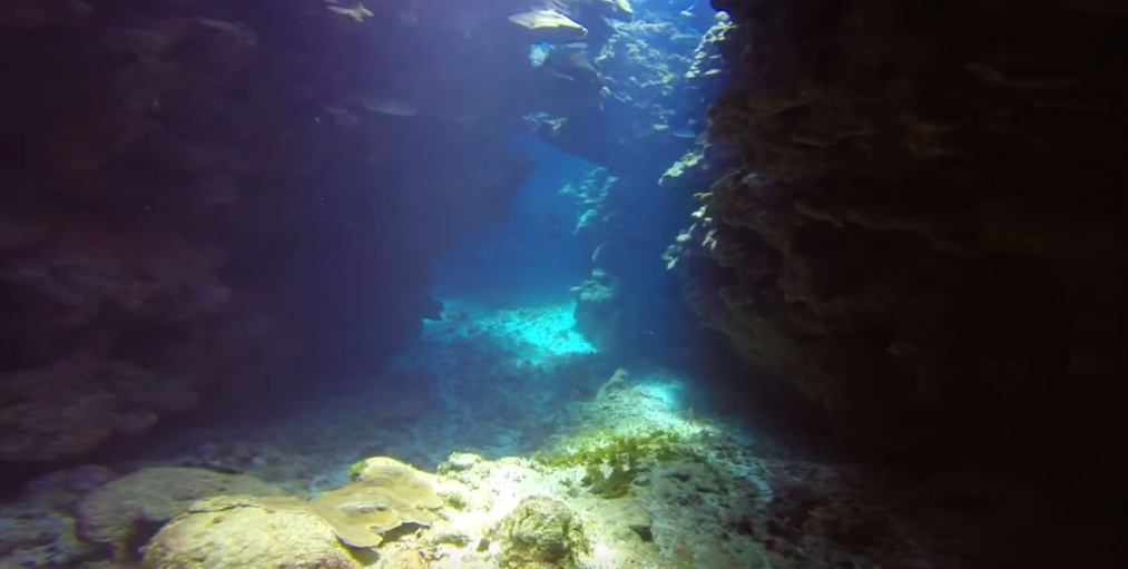Calvin's Crack Dive Site Scuba Diving Roatan, Honduras